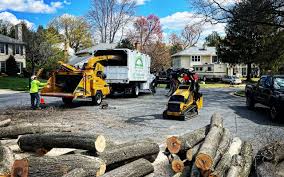 Best Stump Grinding and Removal  in Pennington, NJ