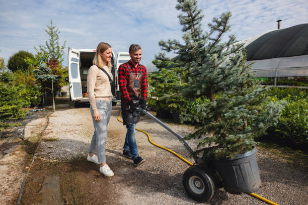 Best Palm Tree Trimming  in Pennington, NJ